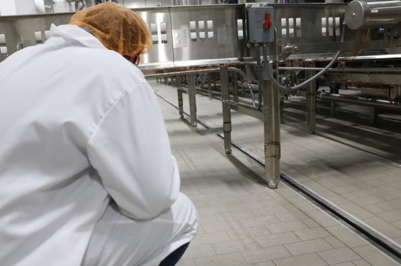 Project Spotlight Valley Queen Cheese Factory